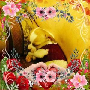 Meet your Posher, Vilma